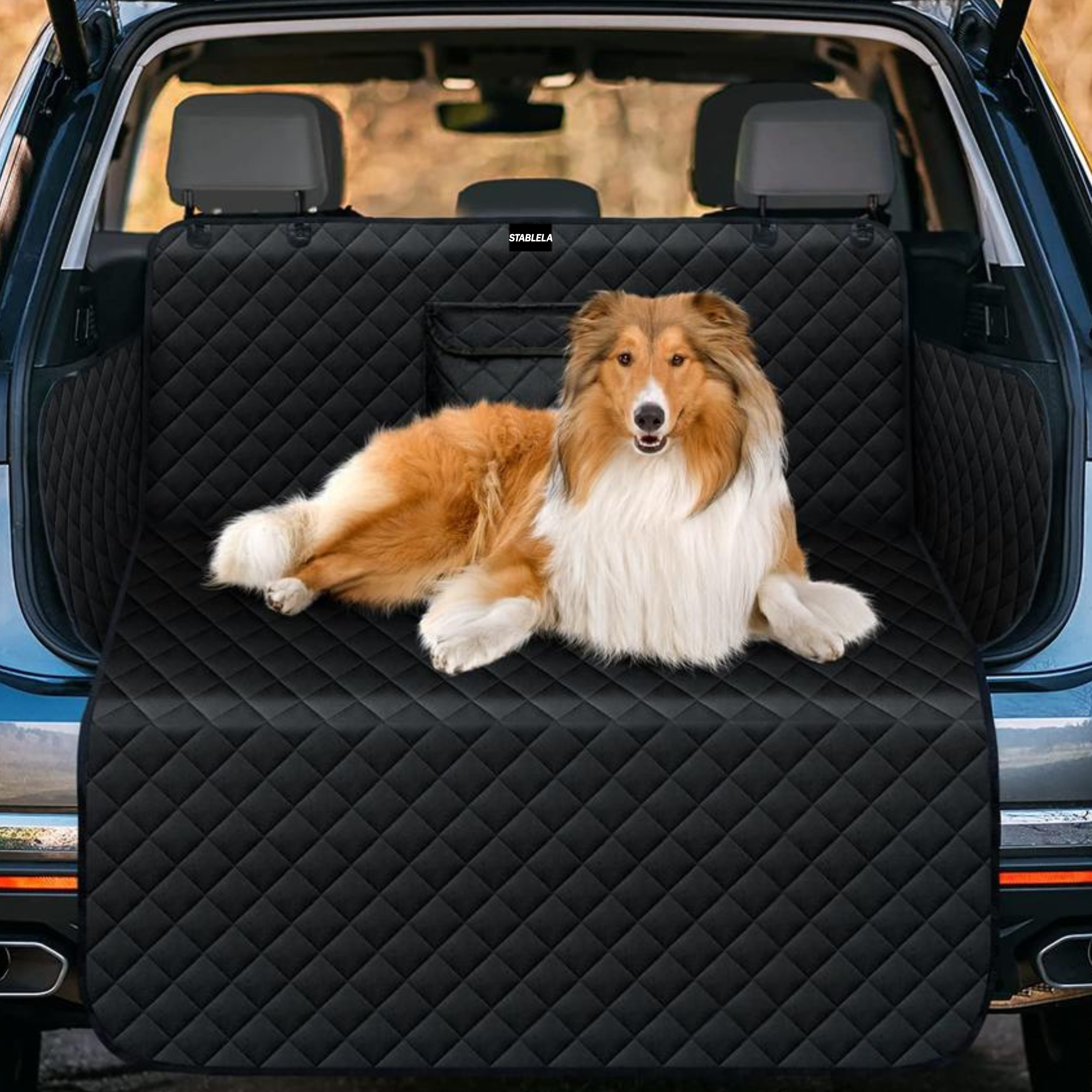 Water Resistant Trunk Mat